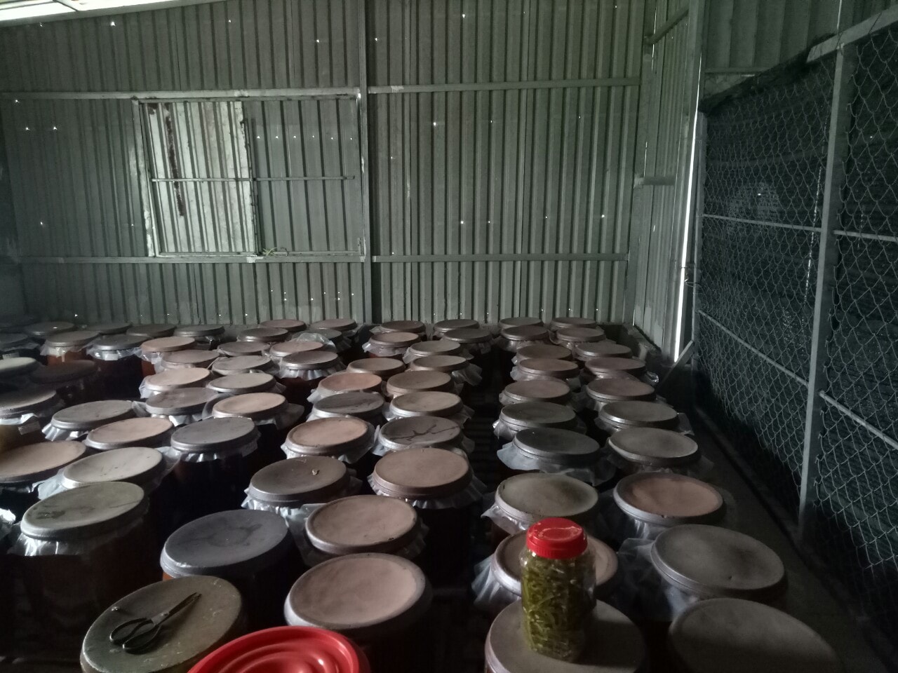 Bí quyết làm rượu bưởi miền Tây