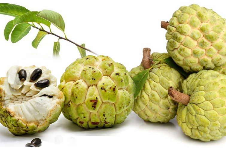 Chọn như nào để có được na bở ngon?